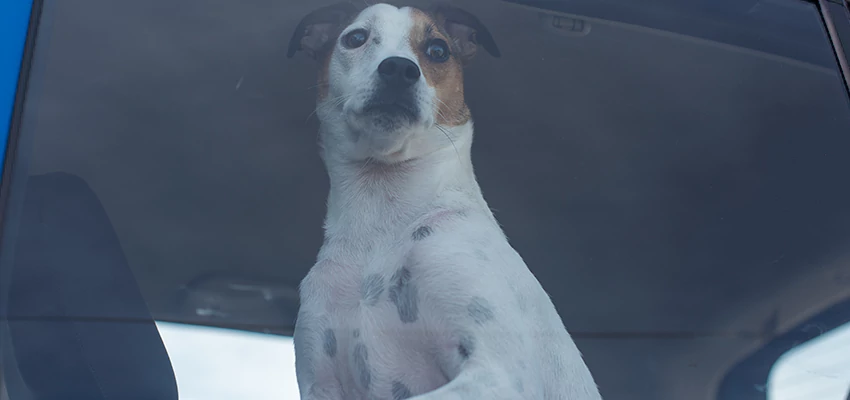 Car Lockout Solutions in San Gabriel, California